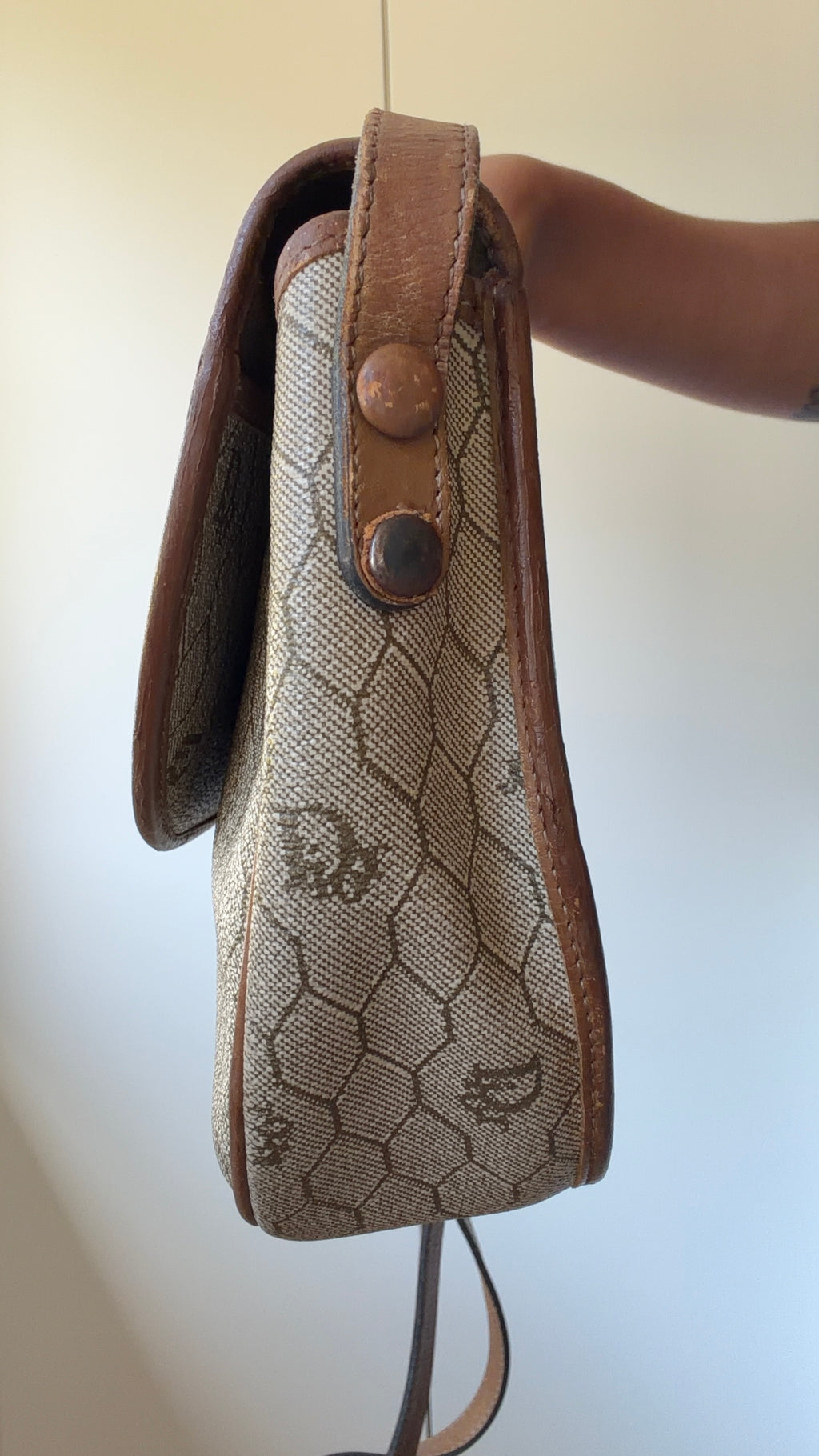 Dior Trotter Beige & Brown Canvas Shoulder Bag