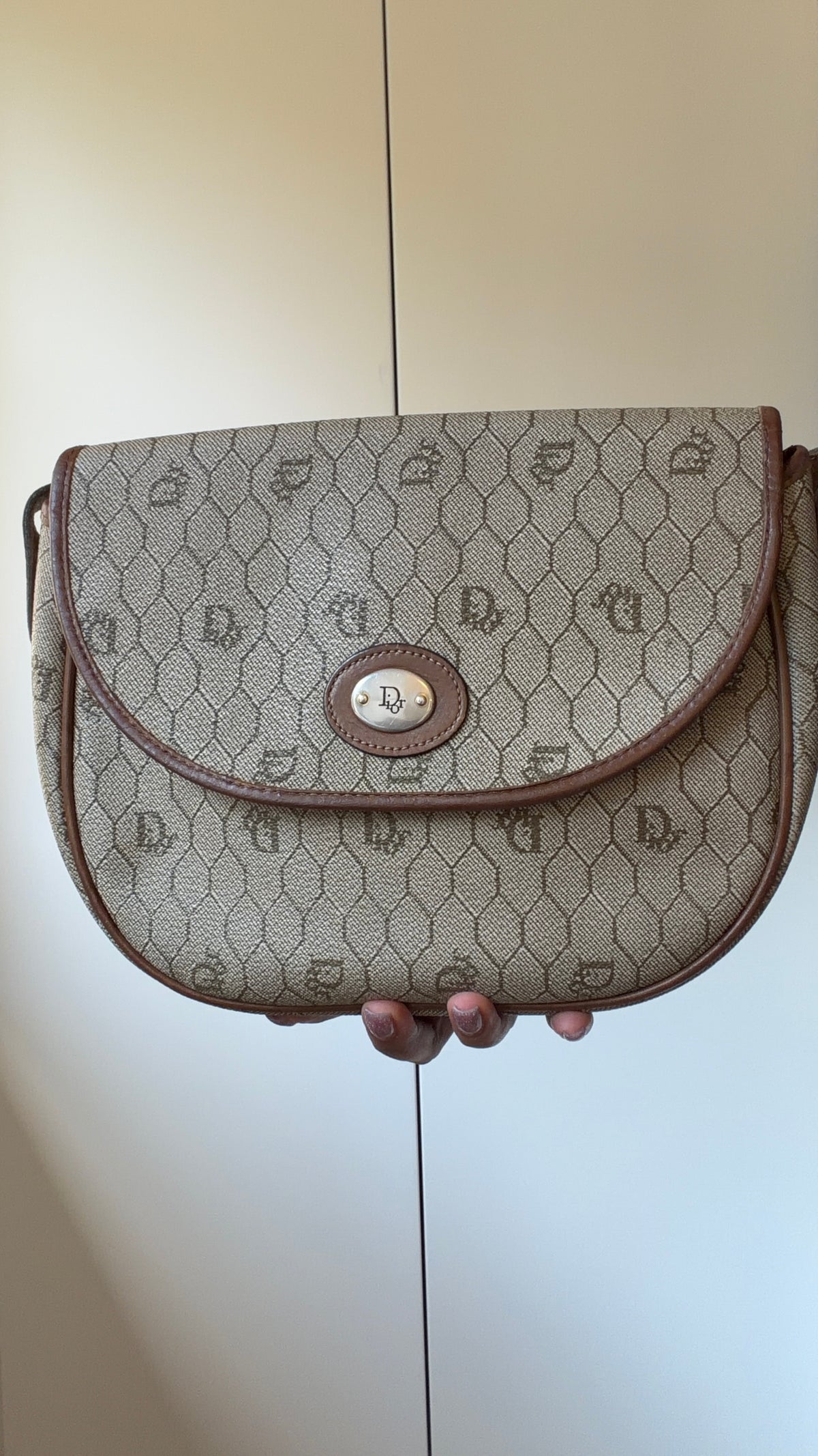 Dior Trotter Beige & Brown Canvas Shoulder Bag